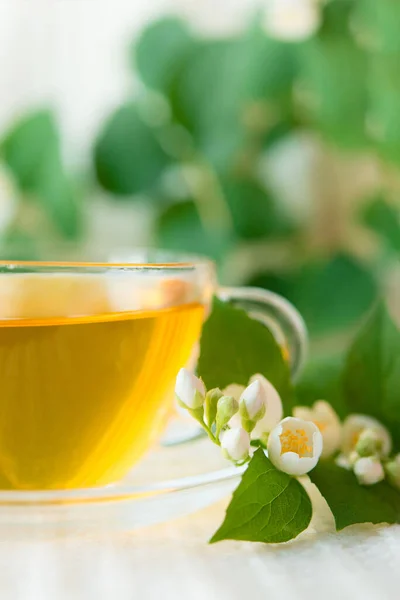 Tasse Tisane Avec Des Fleurs Jasmin Sur Fond Blanc Tricoté — Photo