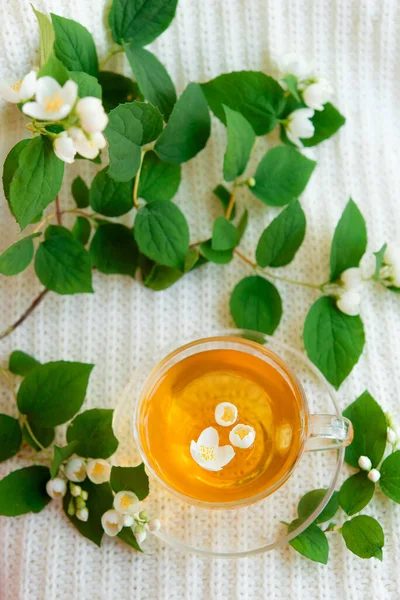 Xícara Chá Ervas Com Flores Jasmim Fundo Malha Quente Branco — Fotografia de Stock