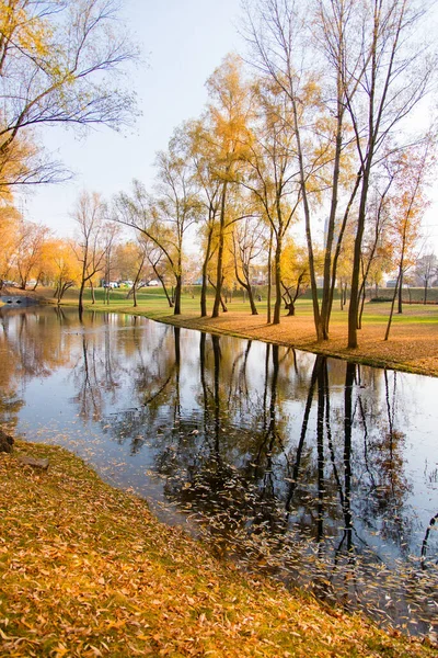 Goldener Herbst Herbst Ländlicher Park Baum Wiese Landschaft — Stockfoto