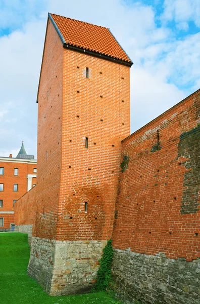 요새 벽 — 스톡 사진