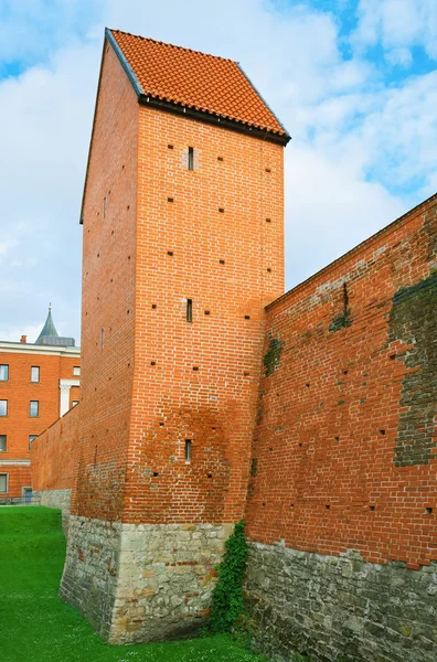 Muro fortificato — Foto Stock