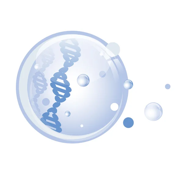 DNA Abstract Ball — Stock Vector