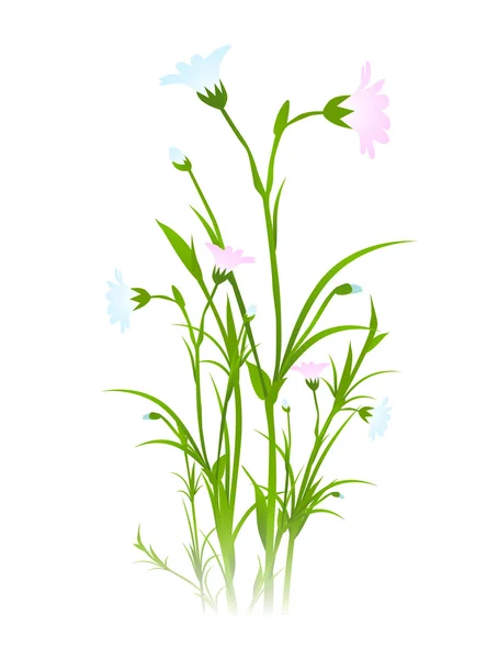 Spring Flower — Stock Vector