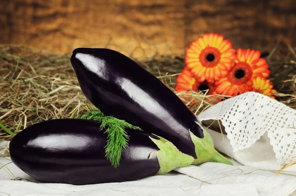 Aubergines — Stock Photo, Image