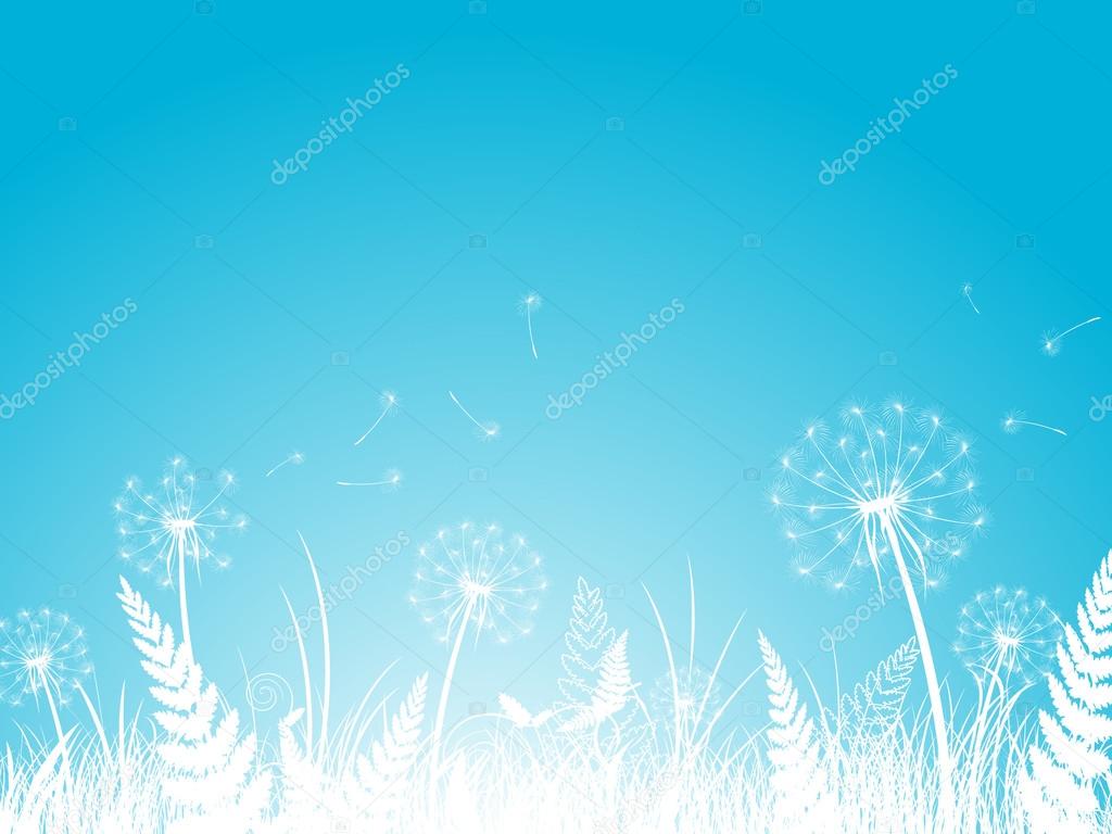 Dandelion Background