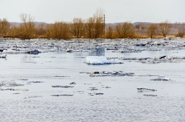 Дрейф льда — стоковое фото