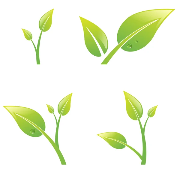 Conjunto de folhas de broto verde — Vetor de Stock