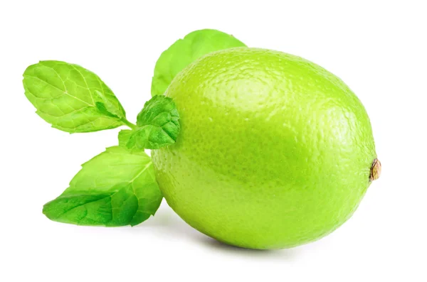 Lime — Stock Photo, Image