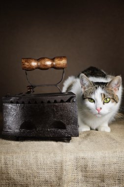 Cat And Iron clipart