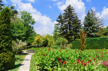 bitkiler ve çiçekler