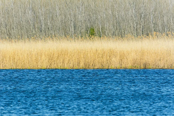 Lago — Foto de Stock