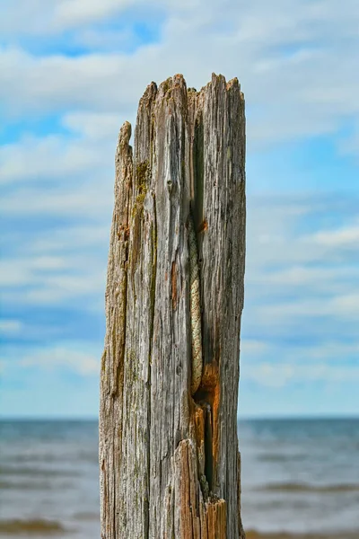 Old Cracked Log Sky — Stockfoto