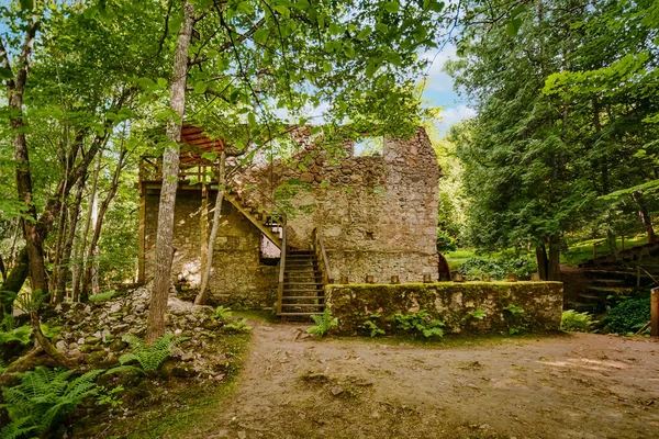 Gamla Ruiner Vattenkvarn Skogen — Stockfoto