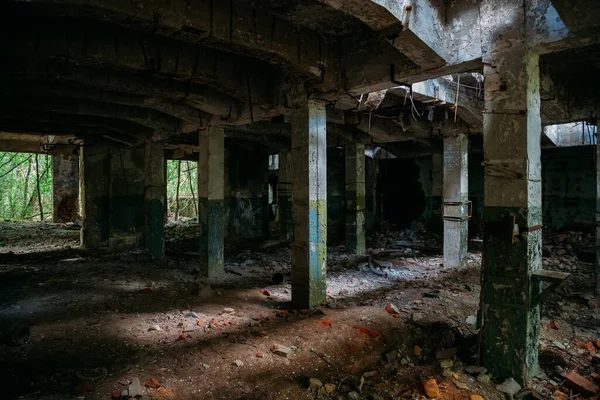 Παλιό Εγκαταλελειμμένο Βιομηχανικό Κτίριο Κατάφυτο Από Φυτά Και Δέντρα — Φωτογραφία Αρχείου