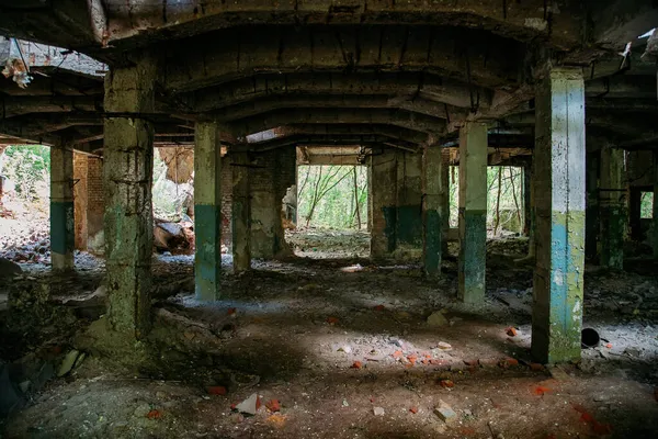 Bitkiler ve ağaçlarla kaplı terk edilmiş eski endüstriyel bina..