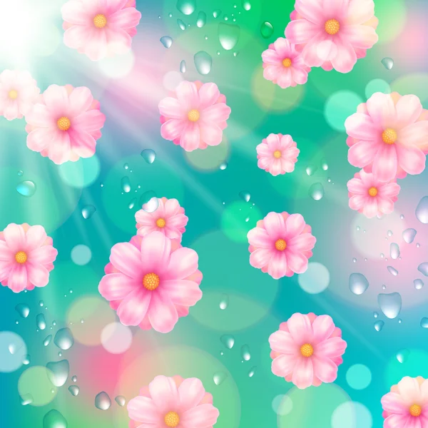 Fundo vetorial - flores de primavera rosa e gotas de água — Vetor de Stock