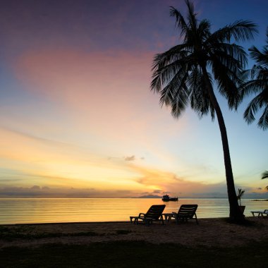 Plajda palmiyelerle güzel bir gün doğumu