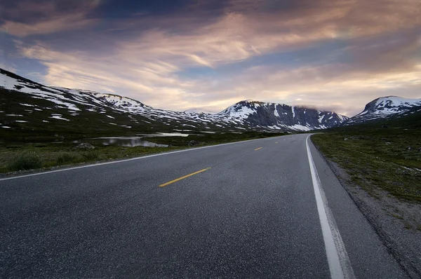 Väg i naturen — Stockfoto