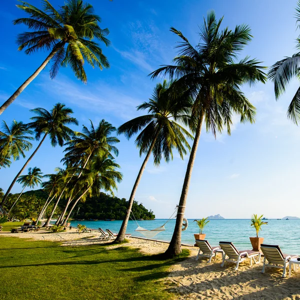 Playa con palmeras — Foto de Stock
