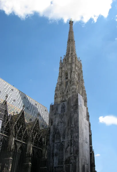 St.stephanskathedrale in wien (oesterreich)) — Stockfoto