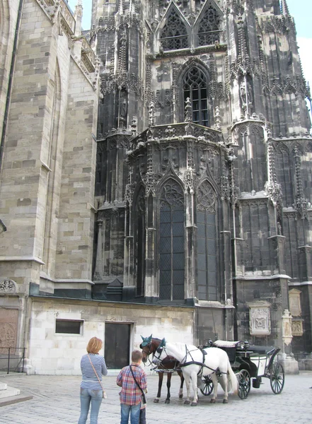 Kutsche mit Pferden am Stephansdom in Wien (Österreich)) — Stockfoto