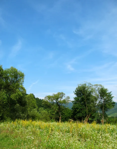 Rural landscape — Stock Photo, Image