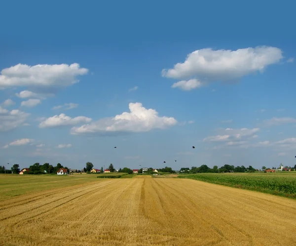 Idylická krajina — Stock fotografie