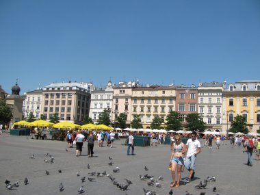 Rynok Meydanı Krakow (Polonya)