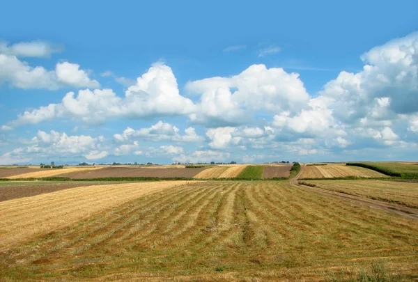 Сельская панорама — стоковое фото
