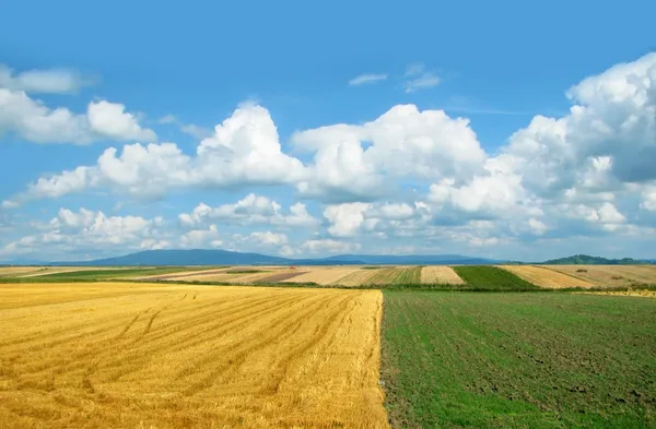 Landelijk landschap — Stockfoto