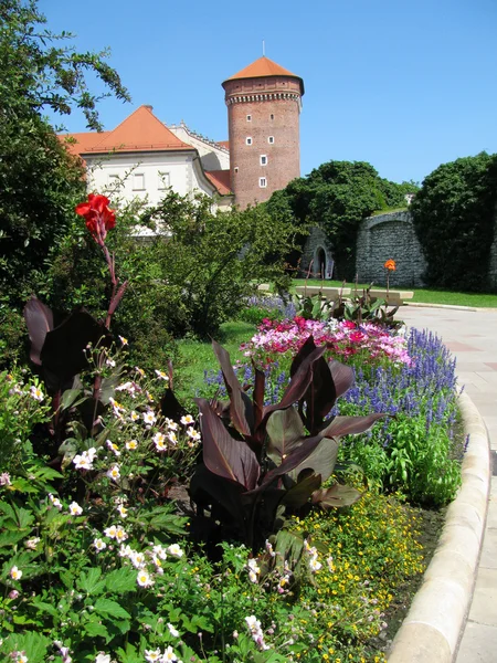 Wawel (크 라 코 프, 폴란드에에서 꽃이 만발한 침대) — 스톡 사진