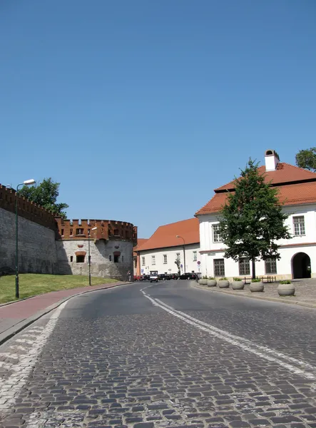 Road the Vavel (Cracóvia, Polónia) ) — Fotografia de Stock