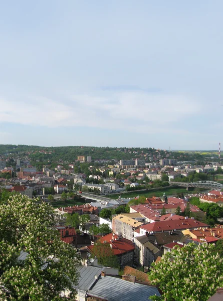 Panorama von przemysl (Polen)) — Stockfoto