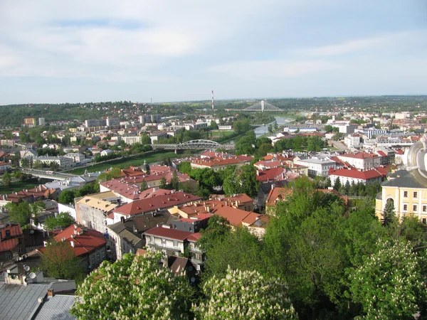 Panorama miasta Przemyśla (Polska) — Zdjęcie stockowe