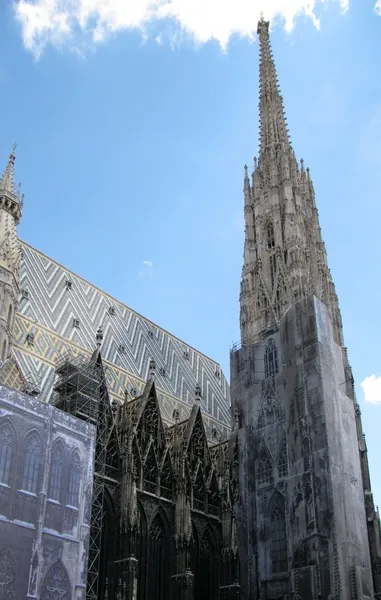 St.stephanskathedrale in wien (oesterreich)) — Stockfoto