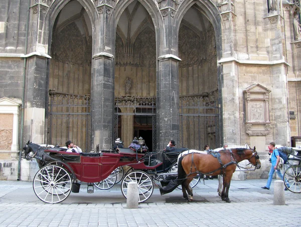The carriage with horses at St. Stephane's cathedral in Vienna (Austria) — Stock Photo, Image