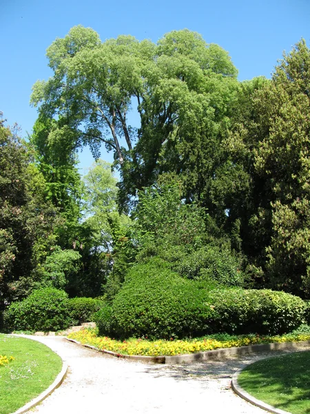 Park in Venice (Italy) — Stock Photo, Image