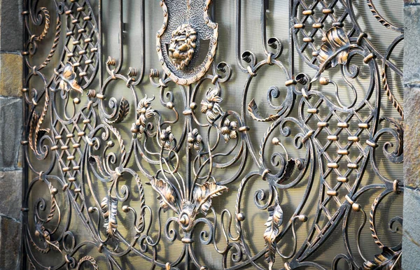 Decorativo Hermosa Puerta Metal Forjado Elementos Acabado —  Fotos de Stock