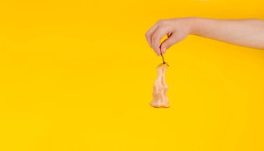 Sarı arka planda armut koçanı.