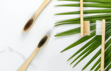 Sıfır atık, biyo-çözünebilir bambu diş fırçası gri taştan bir tezgahın üzerinde, yanında yeşil bir palmiye yaprağı var..