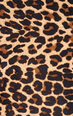 Leopar desenli arkaplan, kapat