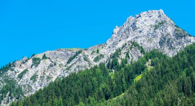 Avusturya 'daki Alplere bak