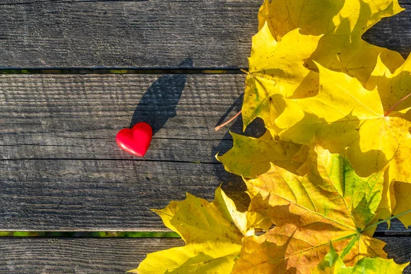 Corazón Fondo Las Hojas Otoño — Foto de Stock