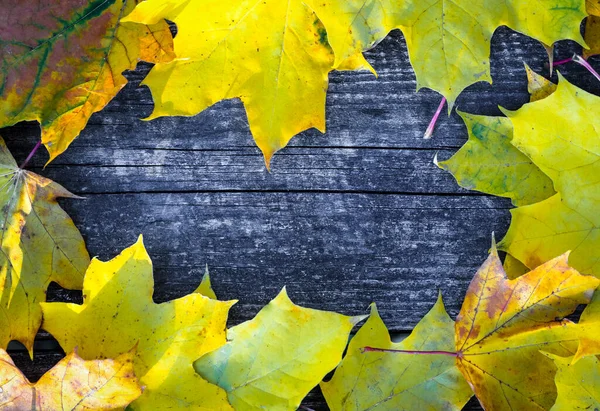 Muchas Hojas Amarillas Sobre Fondo Madera — Foto de Stock