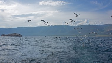 Sakin göl baykal, noname Adası