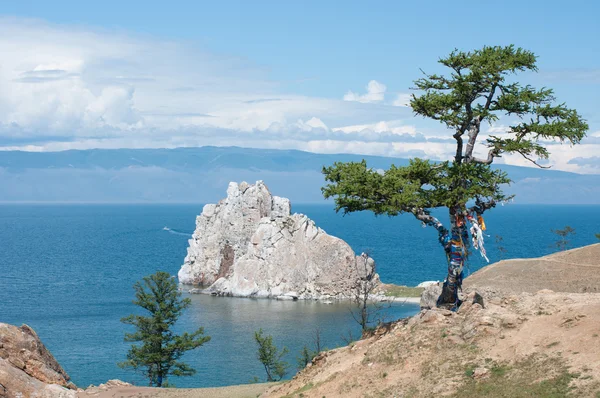 El pino con cinta de memoria. Shamanka Rock, lago Baikal, Rusia —  Fotos de Stock