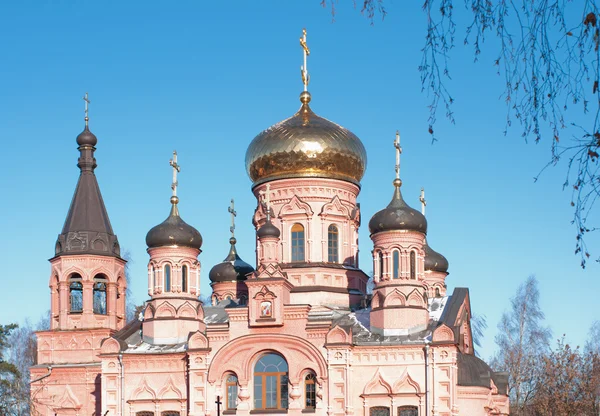 Gereja Ortodoks Nabi Elia di Izvarino, Rusia — Stok Foto
