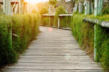 parkta platformuplatform in het park