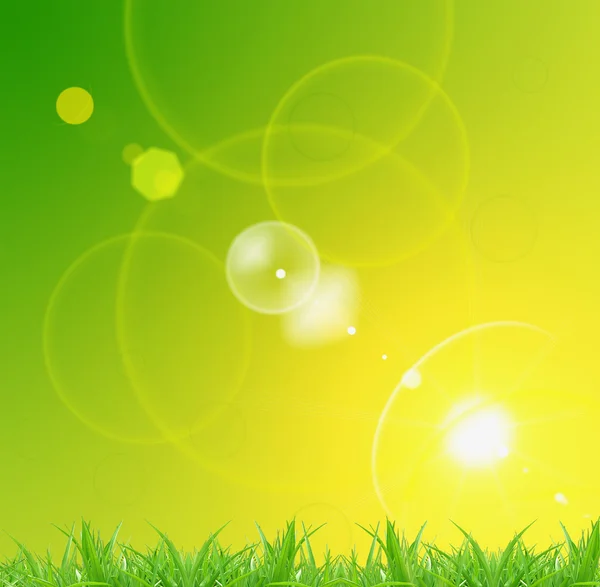 Sunny spring — Stock Photo, Image