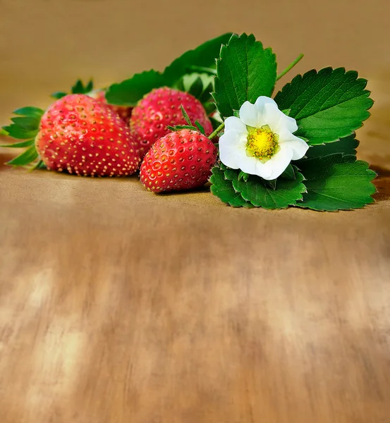 Fragola — Foto Stock